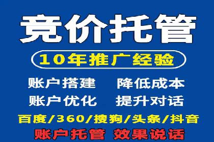 某电商平台的SEM运营实战与效果分析